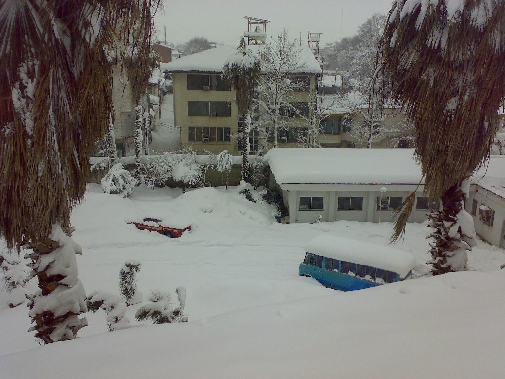 تصویر کوچک