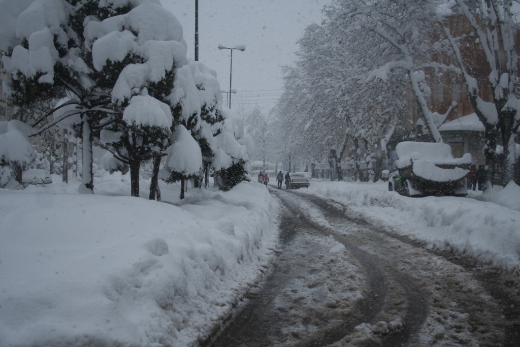 تصویر کوچک