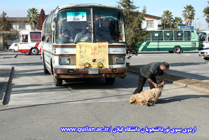 تصویر کوچک