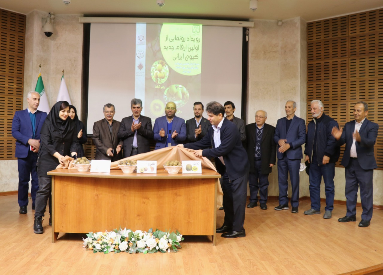 Набросок